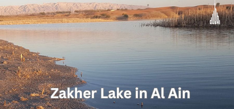 Zakher Lake in Al Ain