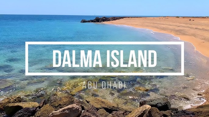 Dalma Island Abu Dhabi