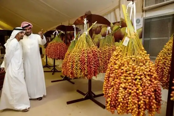 Importance of Dates in Abu Dhabi and UAE Culture