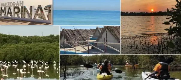 Mangrove Exploration Tours, Al Zorah Beach