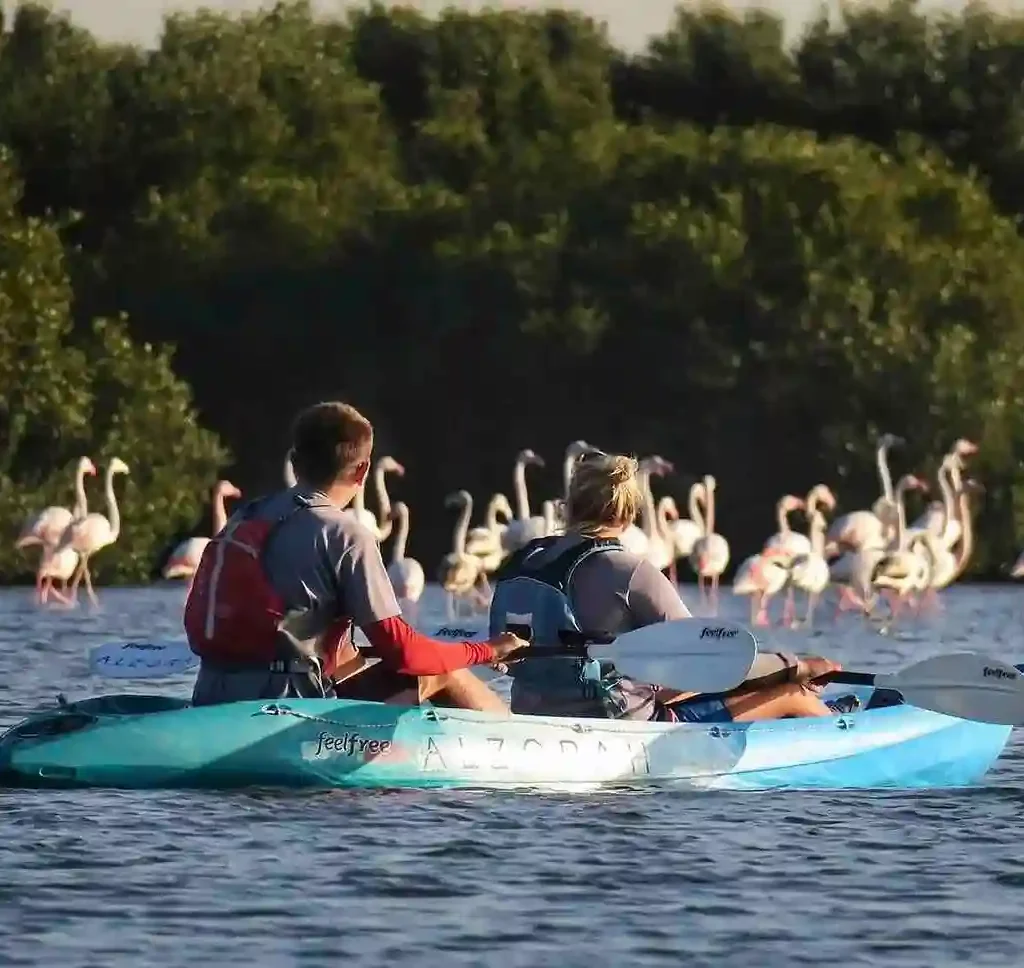 Water Sports and Boat Rides, Al Zorah Beach