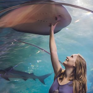 Dubai Aquarium Tickets