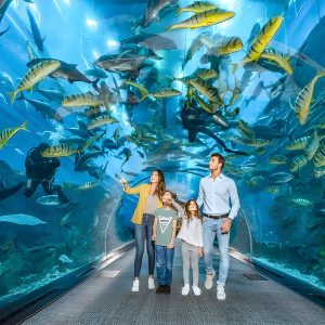 Dubai Aquarium Tickets