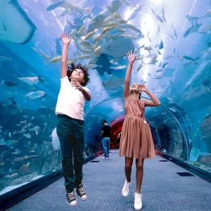 dubai aquarium