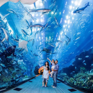 dubai aquarium and underwater zoo