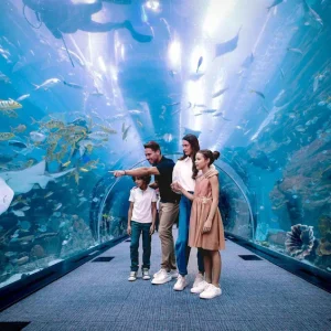dubai aquarium tickets