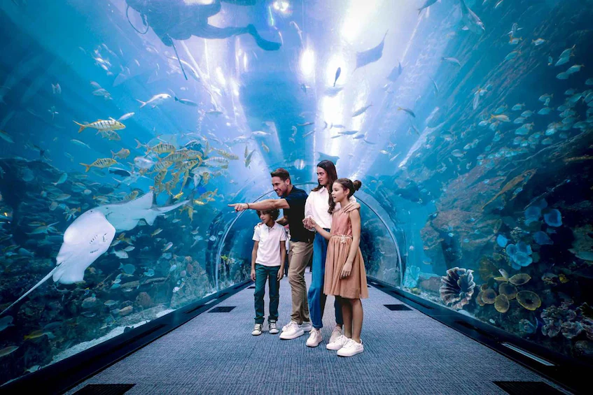 dubai aquarium tickets