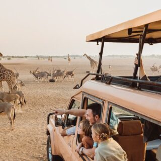 sir baniyas island wildlife safari