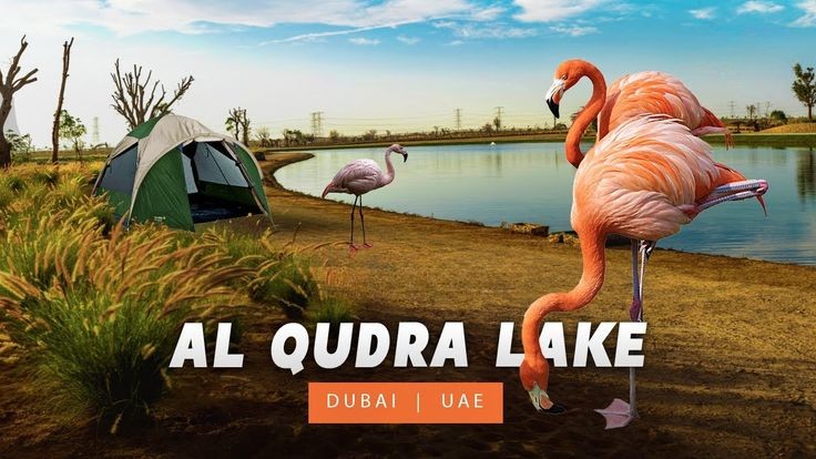 Al Qudra Lake Dubai