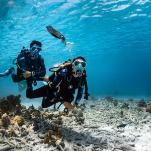 Scuba Dive Dubai