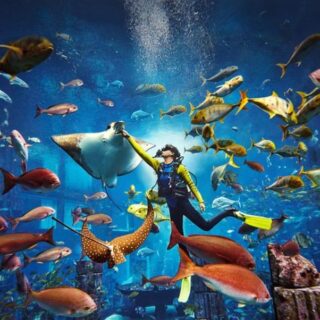 Scuba Diving in Dubai