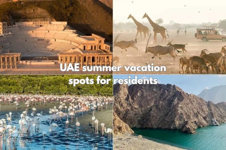 UAE summer vacation spots for residents