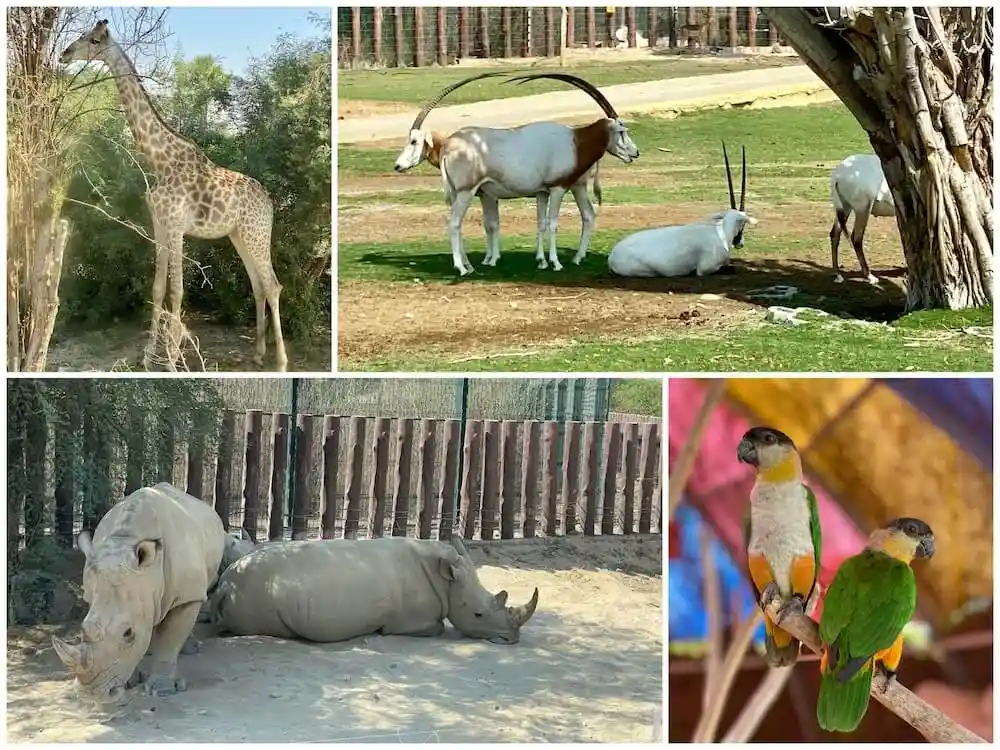 Nature, Wildlife & Gardens