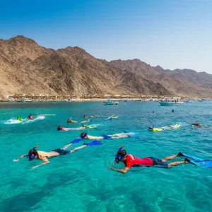 Snorkeling at Dibba Fujairah