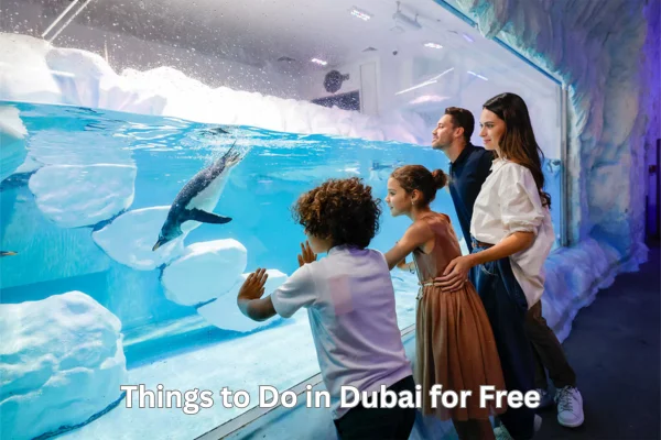 Things to Do in Dubai for Free