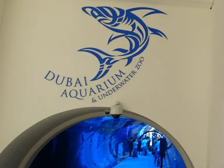 Dubai Aquarium Dubai Mall location