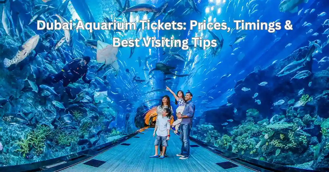 Dubai Aquarium Tickets: Prices, Timings & Best Visiting Tips