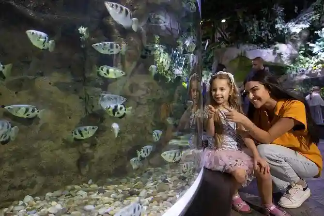 Dubai Aquarium & Underwater Zoo tickets