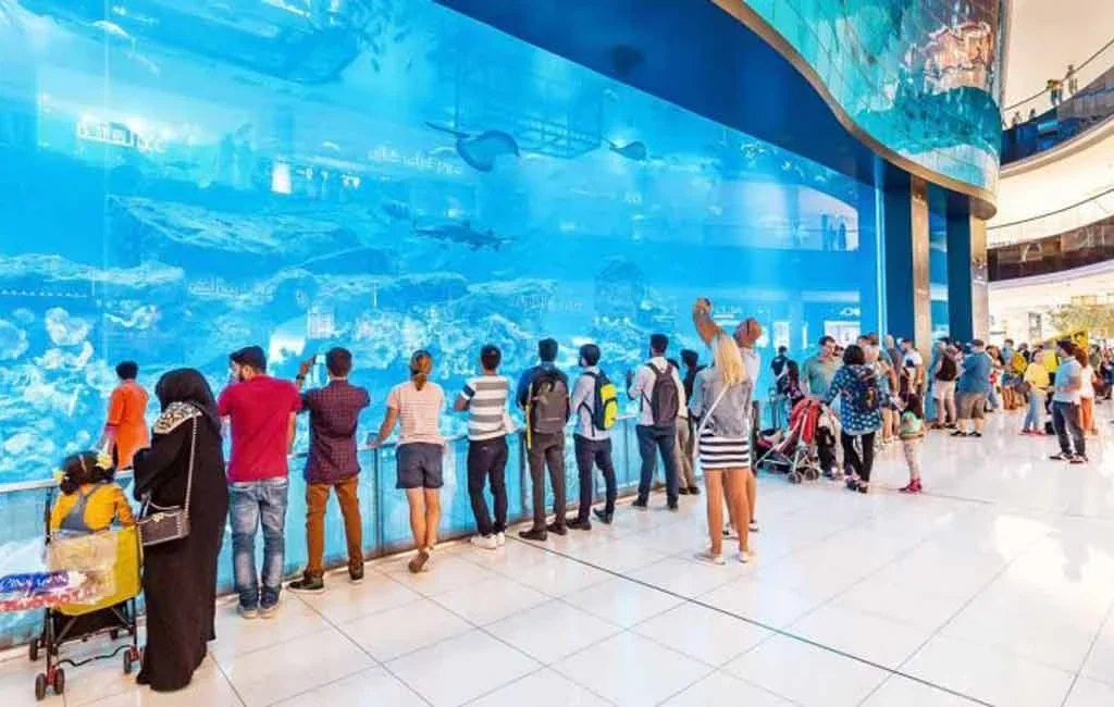 Dubai Mall Aquarium free