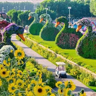 Dubai Miracle Garden